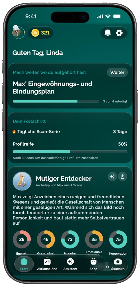 Die Zoomies-App zeigt das Persönlichkeitsprofil eines Hundes mit Merkmalswerten