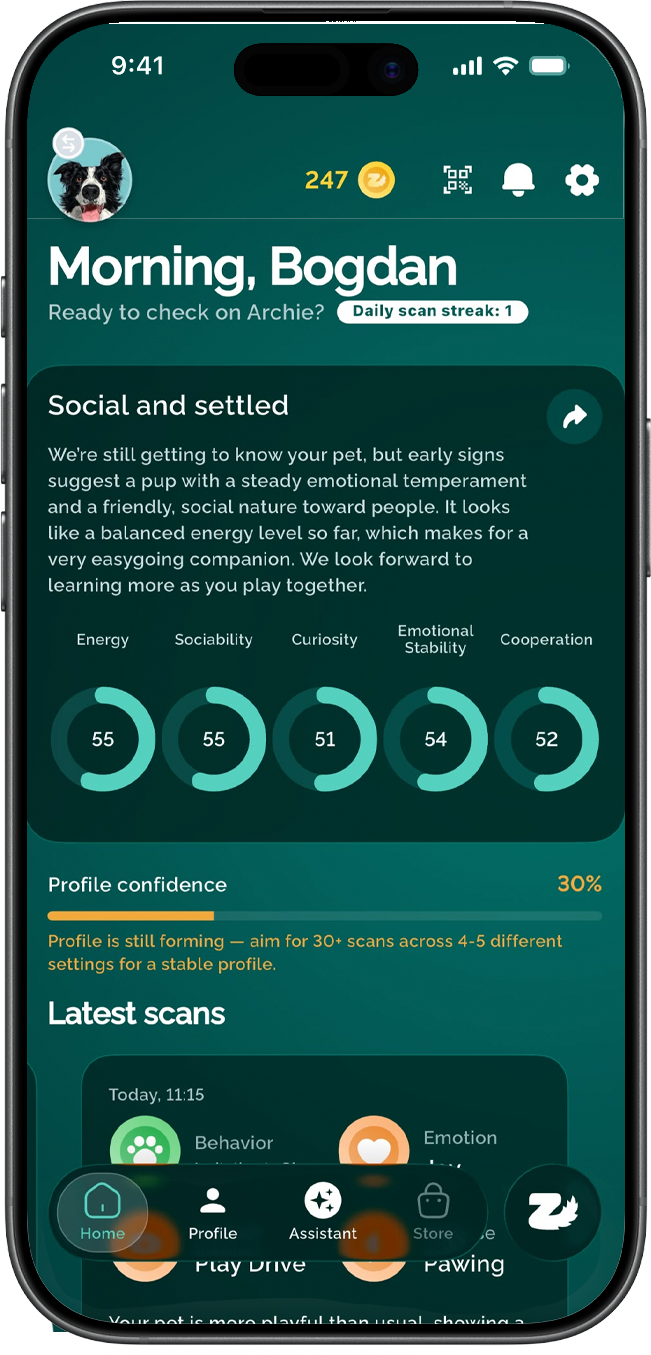 The Zoomies app showing a dog's personality profile with trait scores