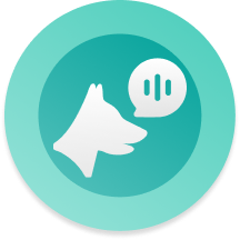 Descriptive alt text