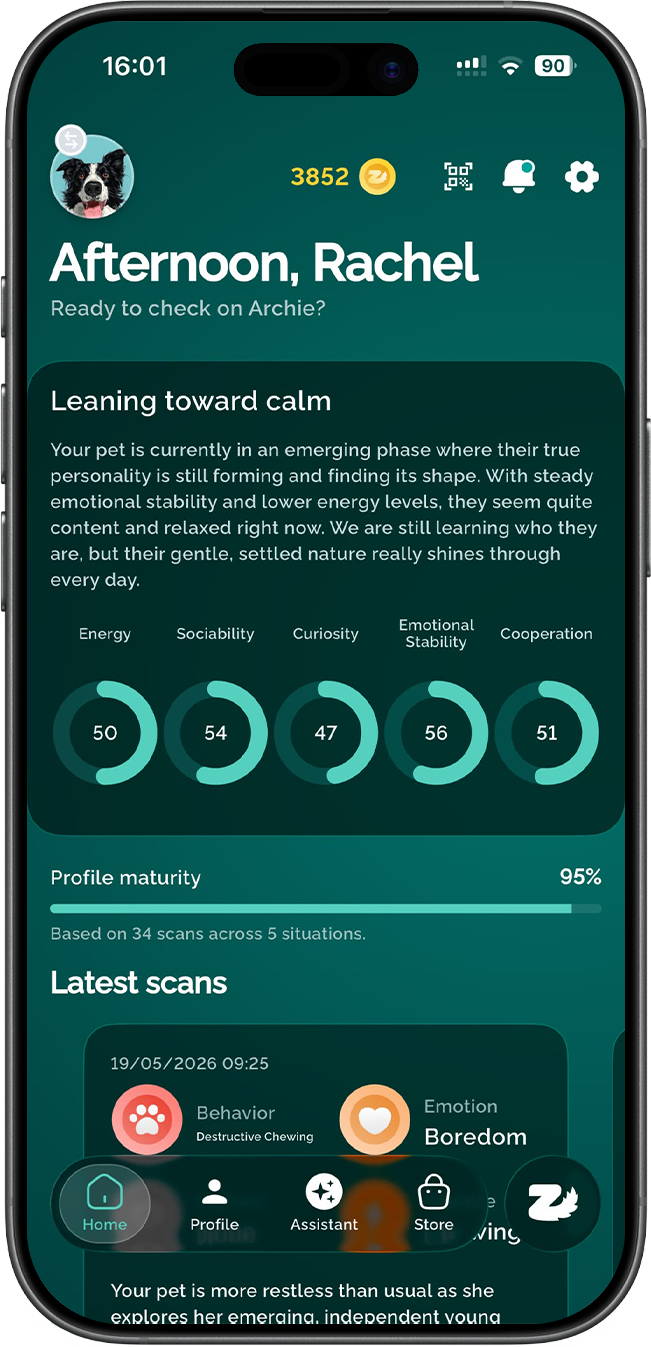 The Zoomies app showing a dog's personality profile with trait scores