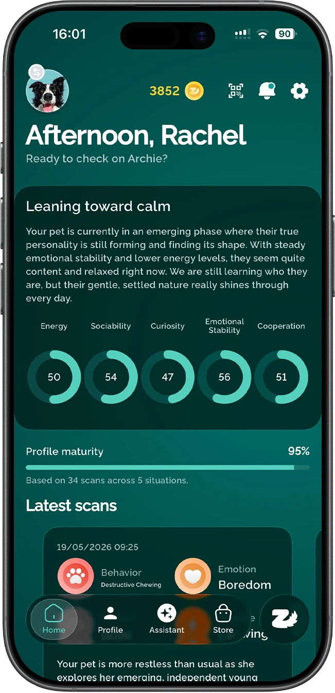 The Zoomies app showing a dog's personality profile with trait scores