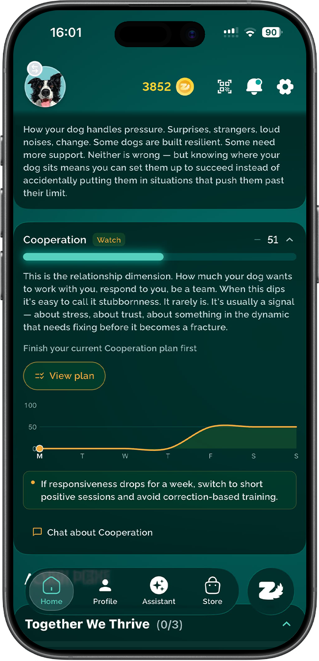The Zoomies AI app showing a dog's personality profile with trait scores
