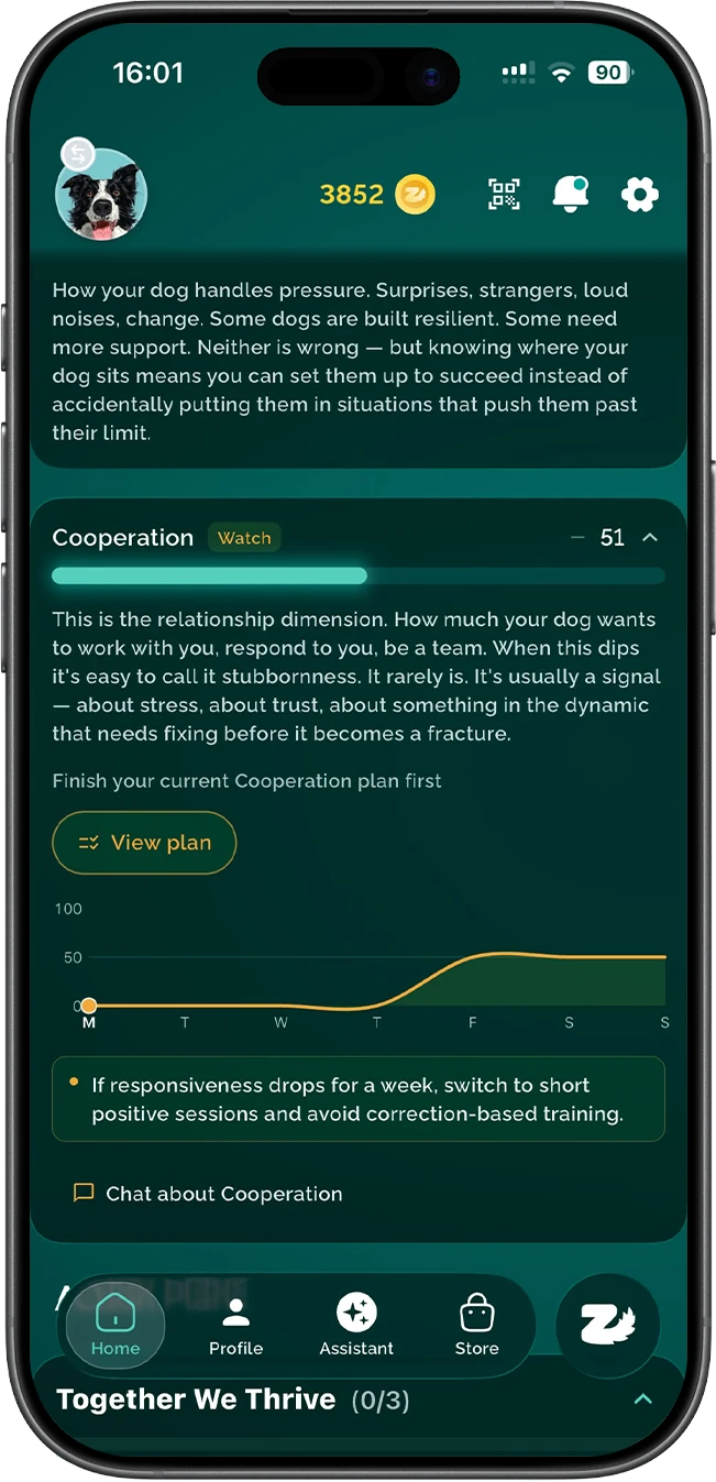The Zoomies AI app showing a dog's personality profile with trait scores